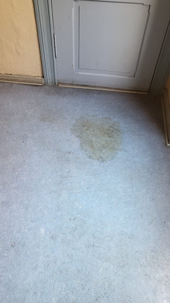 Boden mit Fleck vor der Reinigung